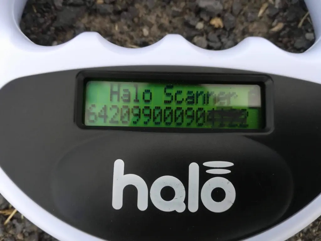 Halo-Scanner zum Auslesen von Katzenchips bei Fundtieren