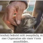 Der Tierengel vom Maifeld - Kerstin Profitlich kümmert sich vor allem um Katzen, die kein Zuhause haben